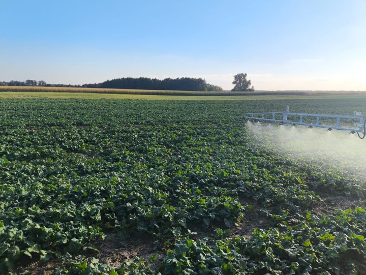 Zdjęcie WhatsApp 2025-10-03 o 17.14.54_eb40f17d.jpg