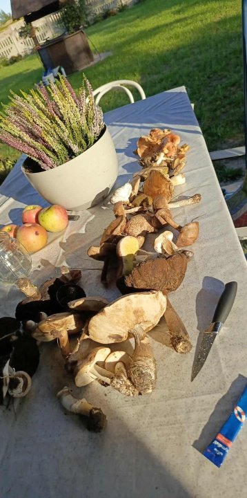 Zdjęcie WhatsApp 2025-11-04 o 11.54.02_db5cf6c5.jpg