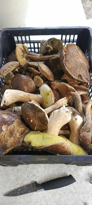 Zdjęcie WhatsApp 2025-11-04 o 11.54.02_f948d14e.jpg