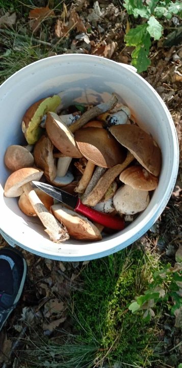 Zdjęcie WhatsApp 2025-11-04 o 11.54.03_bf7a6e95.jpg