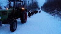 marcin6011