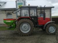 wierzba616