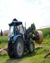 ferdek255