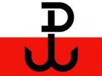 dstefansky