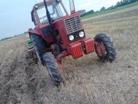 Bakik125
