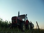 Marcin5340