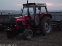 japycz17