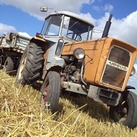 TheagroPiotrekLubelskie