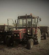 marcin5320