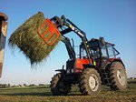 tomek1025