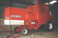 guciolina262