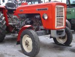 Lesnik13