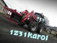 1231Karol