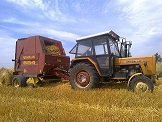 rolnikcichon330