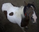 iwona2lena
