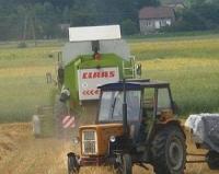 Mateusz3401