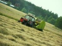 Theszymon2312