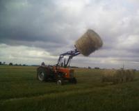 farmer78lbl