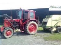 zielak3455