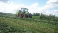 MrMarcin610