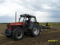 zabcia4597