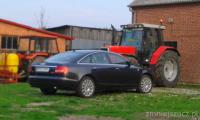 ziolek72