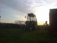 Pawrol12