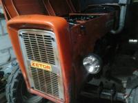 dzikizetor4011