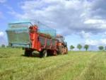 MTZ82