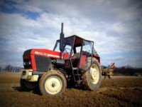 tomek5092