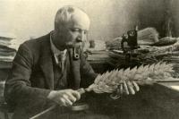 ziutek1234